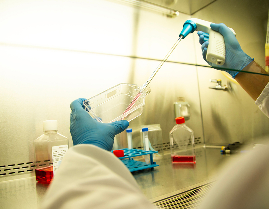 Biotechnologie a farmacie